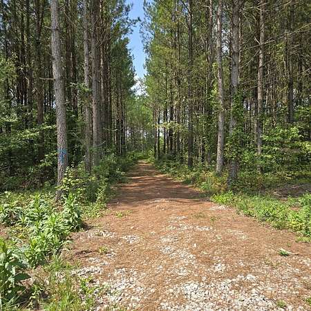 11 Acres of Land for Sale in Robbins, Tennessee