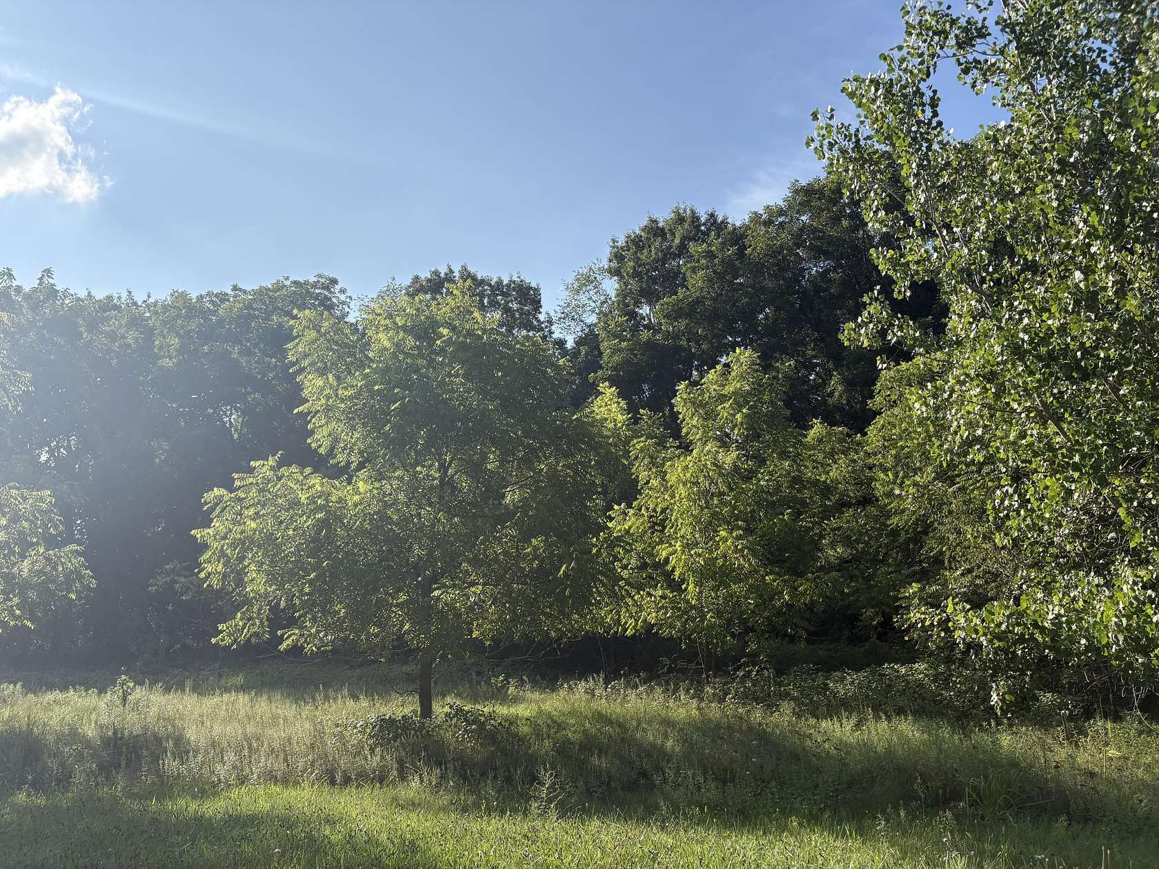 29.9 Acres of Recreational & Residential Land for Sale in Charlotte, Michigan