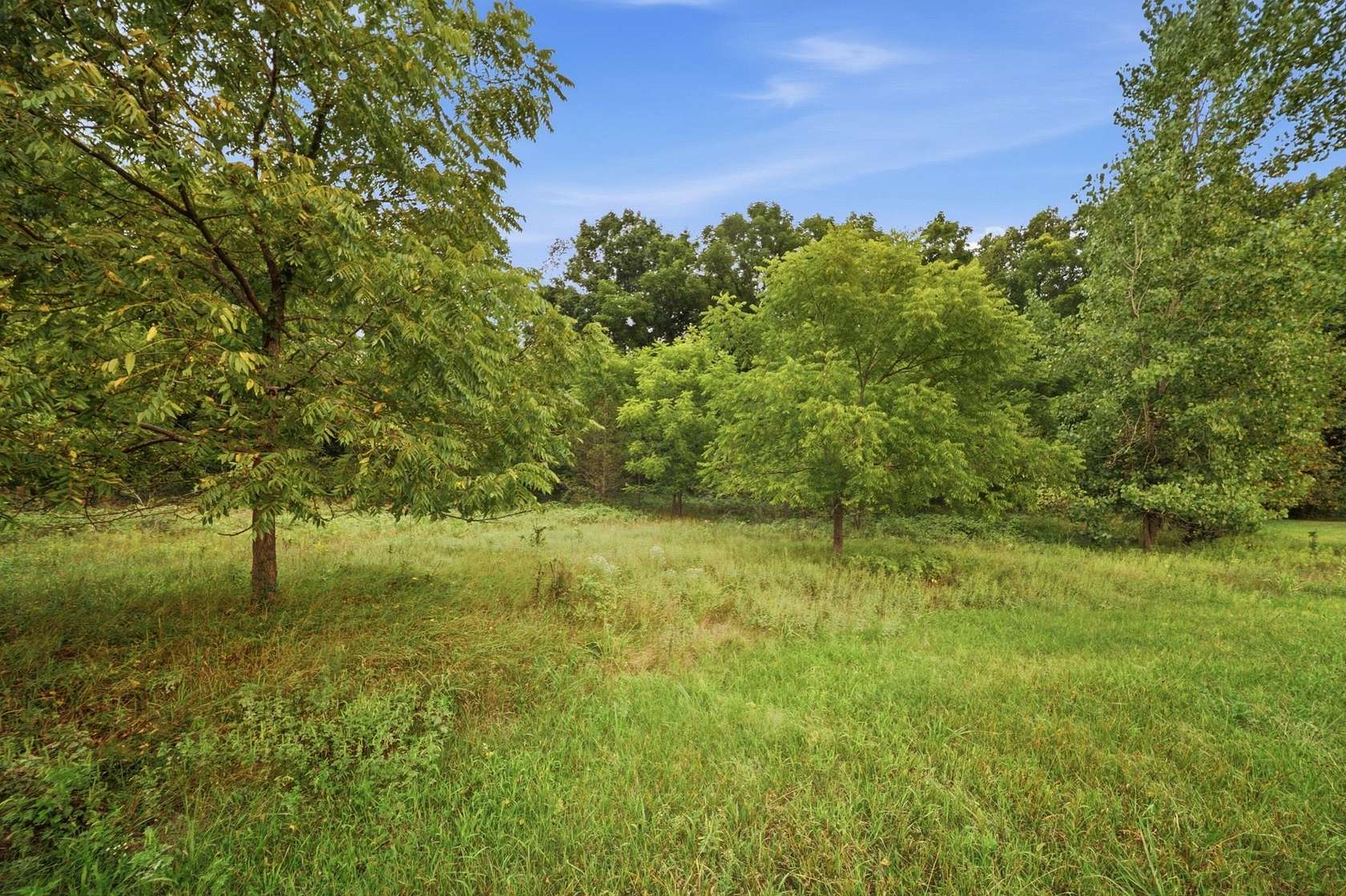 29.9 Acres of Recreational & Residential Land for Sale in Charlotte, Michigan