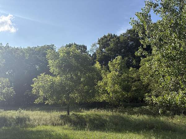 29.9 Acres of Recreational & Residential Land for Sale in Charlotte, Michigan
