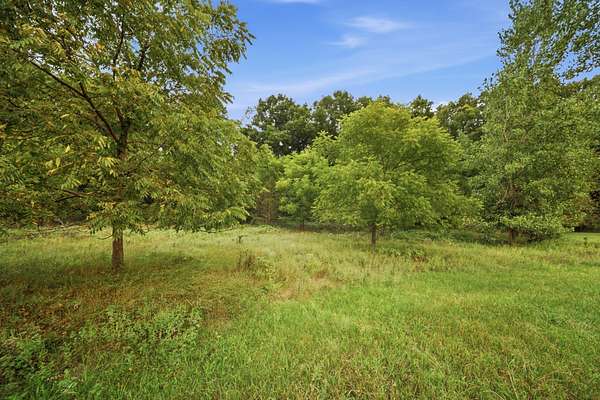 29.9 Acres of Recreational & Residential Land for Sale in Charlotte, Michigan