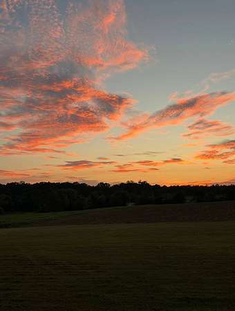 45 Acres of Land with Home for Sale in Vicksburg, Mississippi
