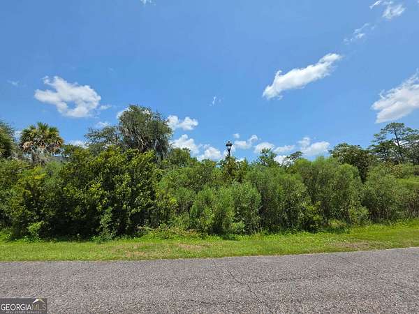 0.49 Acres of Residential Land for Sale in St. Marys, Georgia
