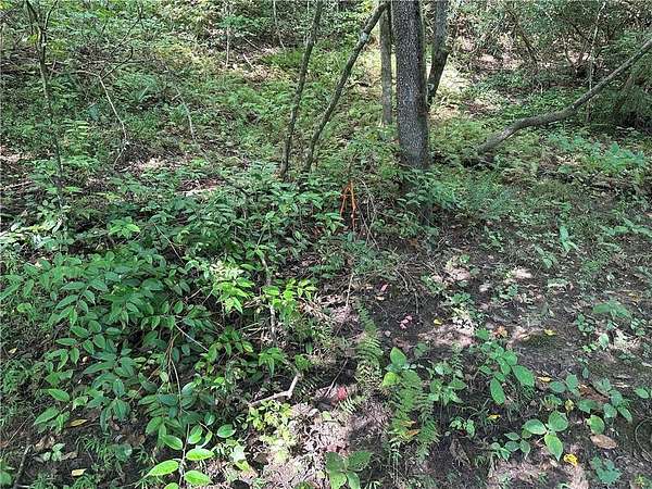 2.19 Acres of Residential Land for Sale in Dahlonega, Georgia