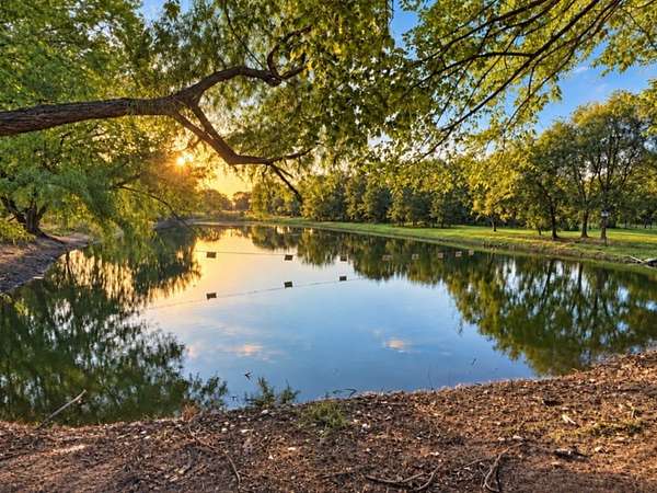 1 Acre of Residential Land for Sale in Double Oak, Texas