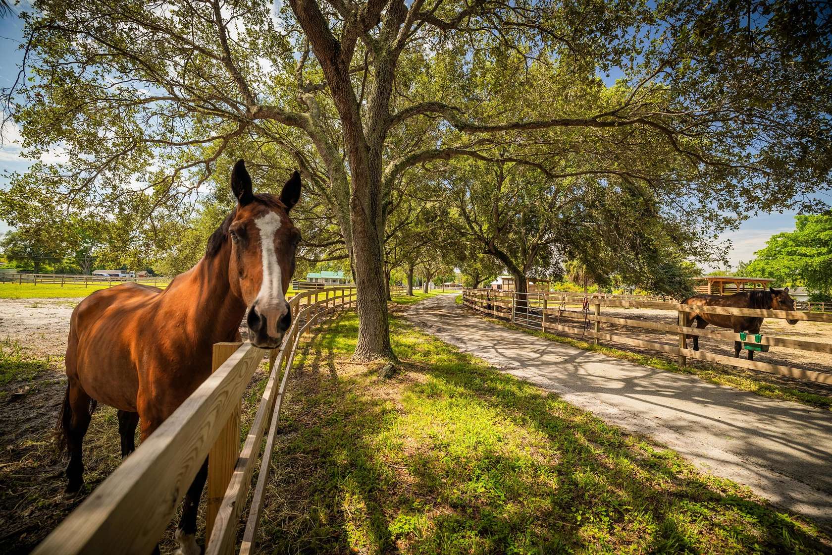 5 Acres of Land with Home for Sale in Coconut Creek, Florida