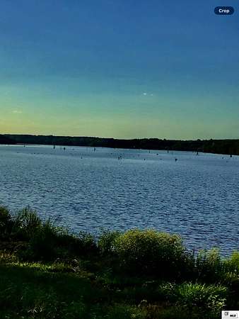3.5 Acres of Residential Land for Sale in Farmerville, Louisiana