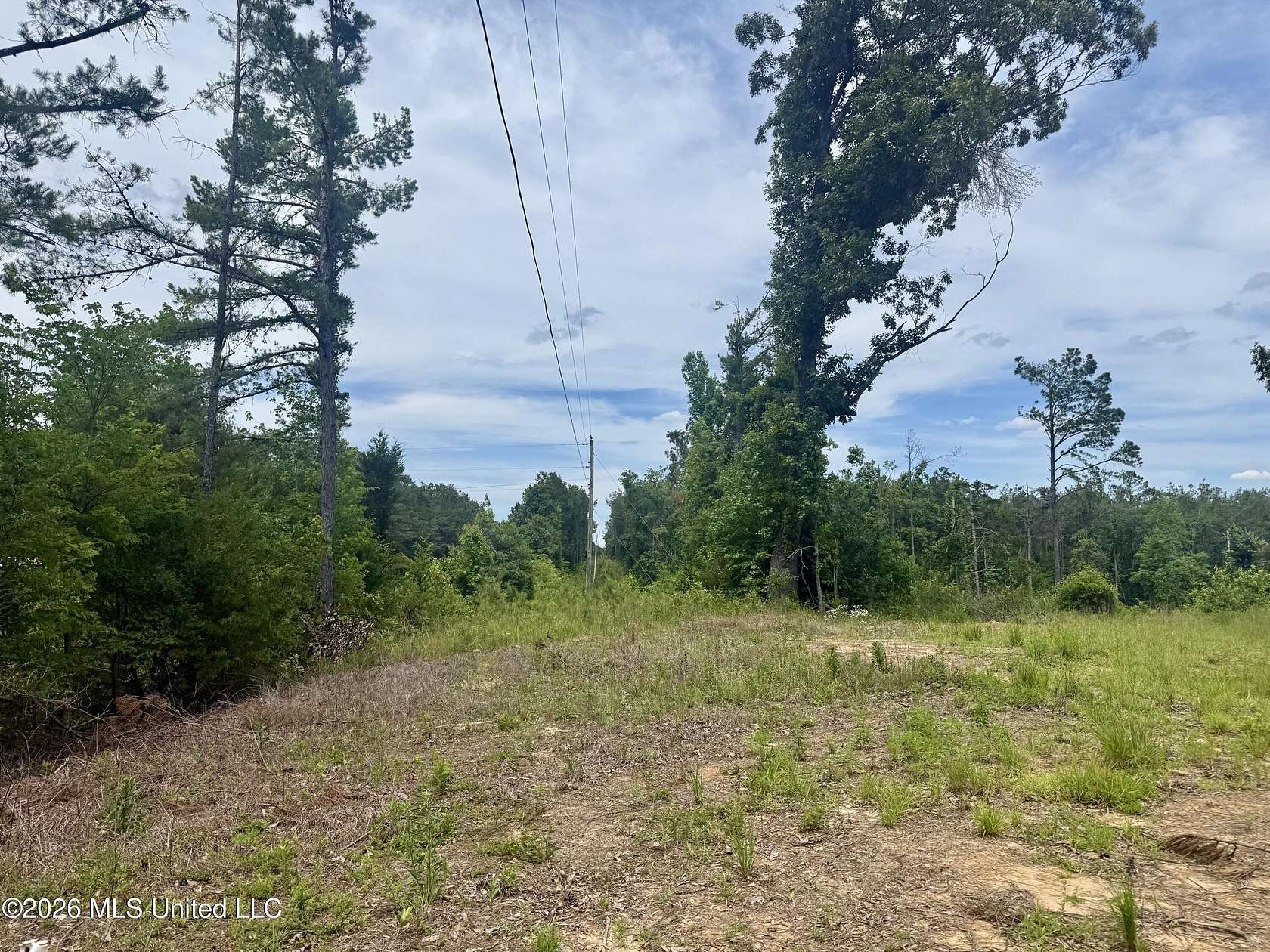 17 Acres of Recreational & Residential Land for Sale in Cruger, Mississippi