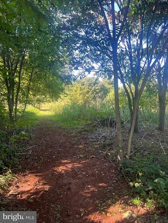 7.36 Acres of Land for Sale in Orange, Virginia