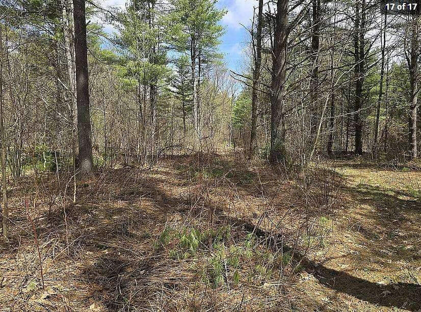 27.9 Acres of Recreational Land for Sale in Diana Town, New York