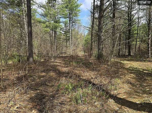27.9 Acres of Recreational Land for Sale in Diana Town, New York