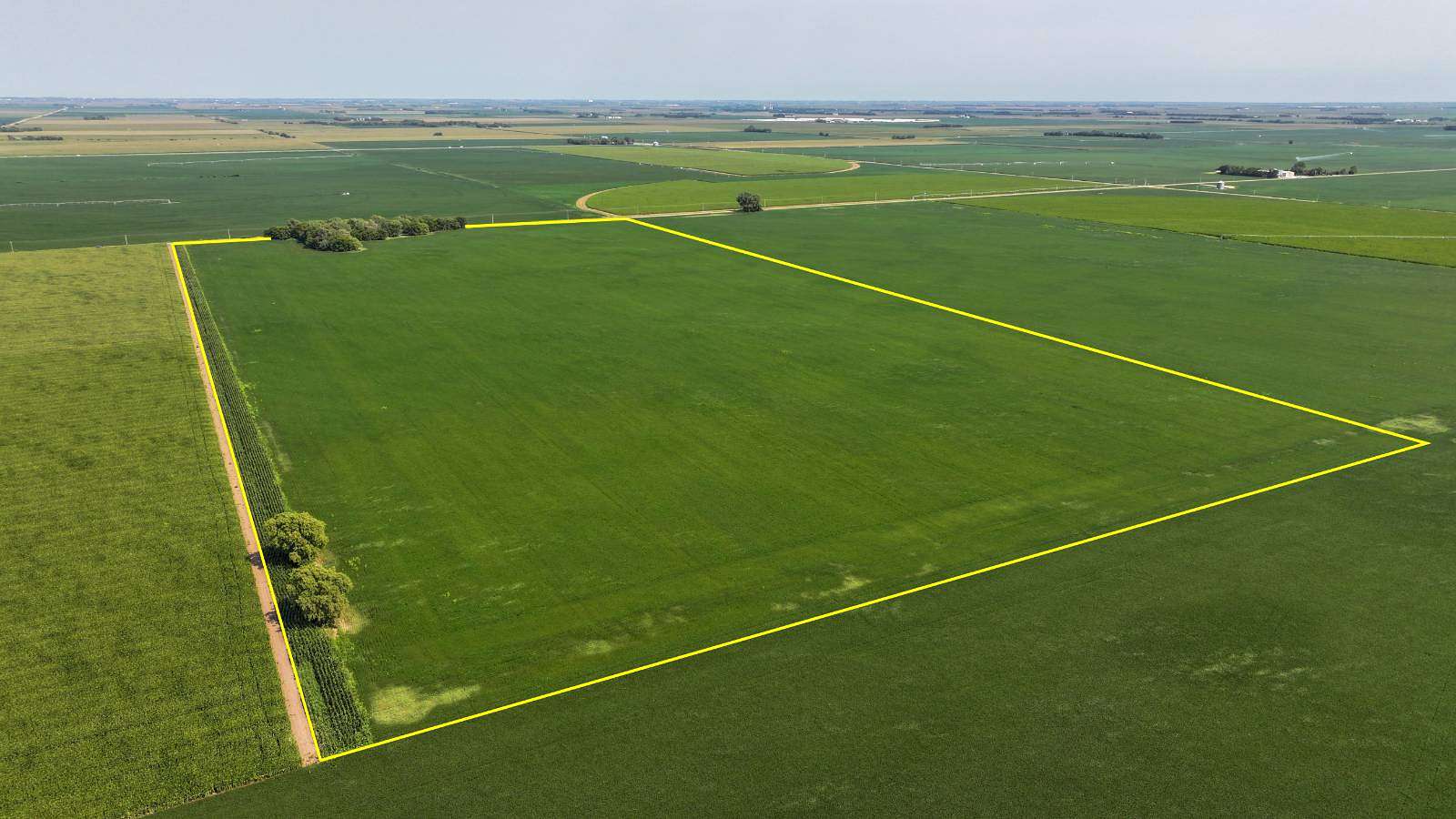 80 Acres of Agricultural Land for Sale in Shelby, Nebraska