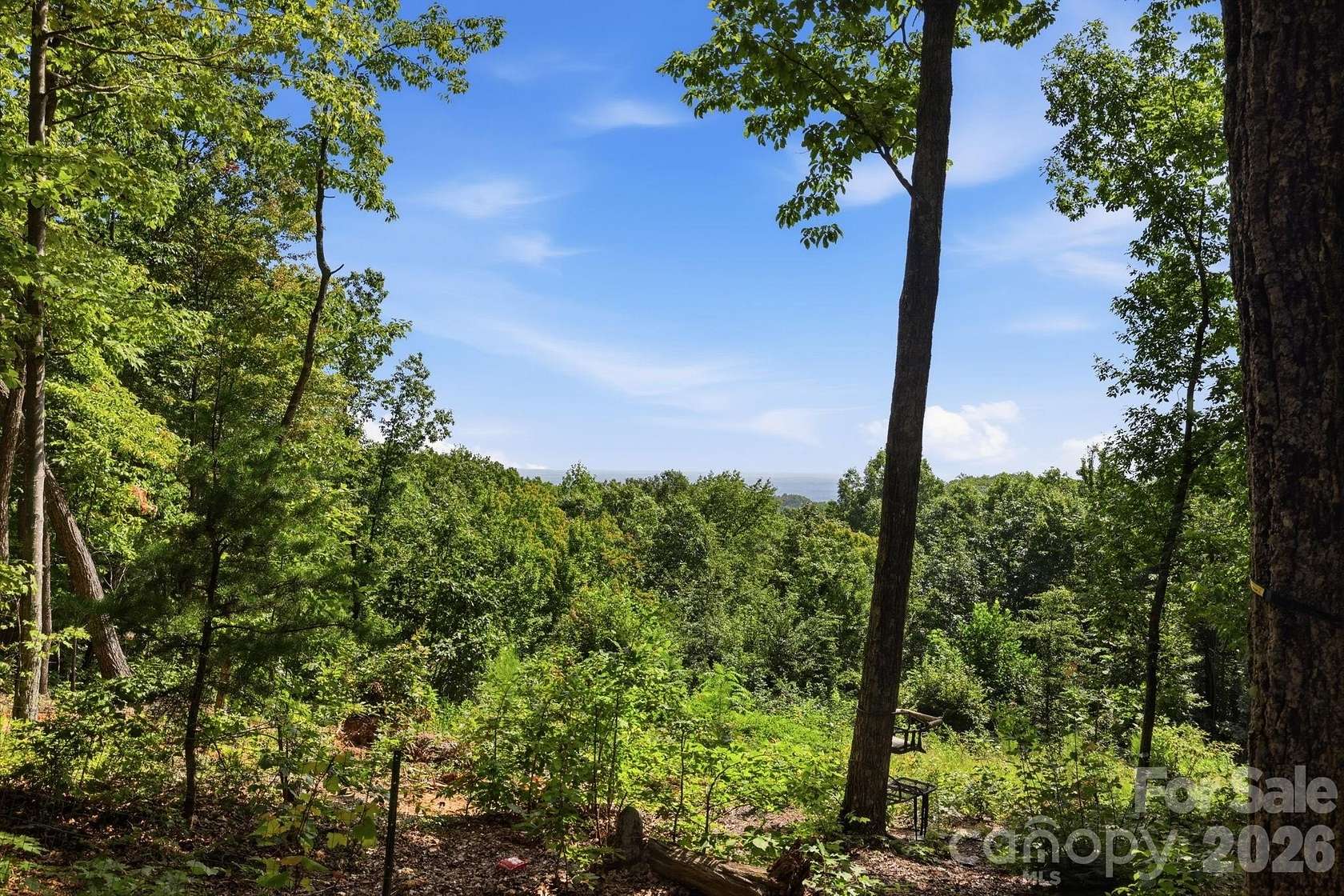 23 Acres of Land with Home for Sale in Ellenboro, North Carolina