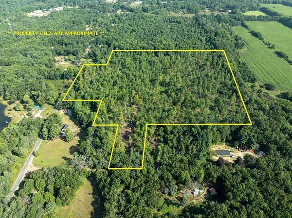 28.1 Acres of Recreational Land for Sale in Holton, Michigan
