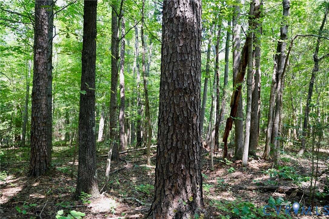 4 Acres of Residential Land for Sale in Halifax, Virginia