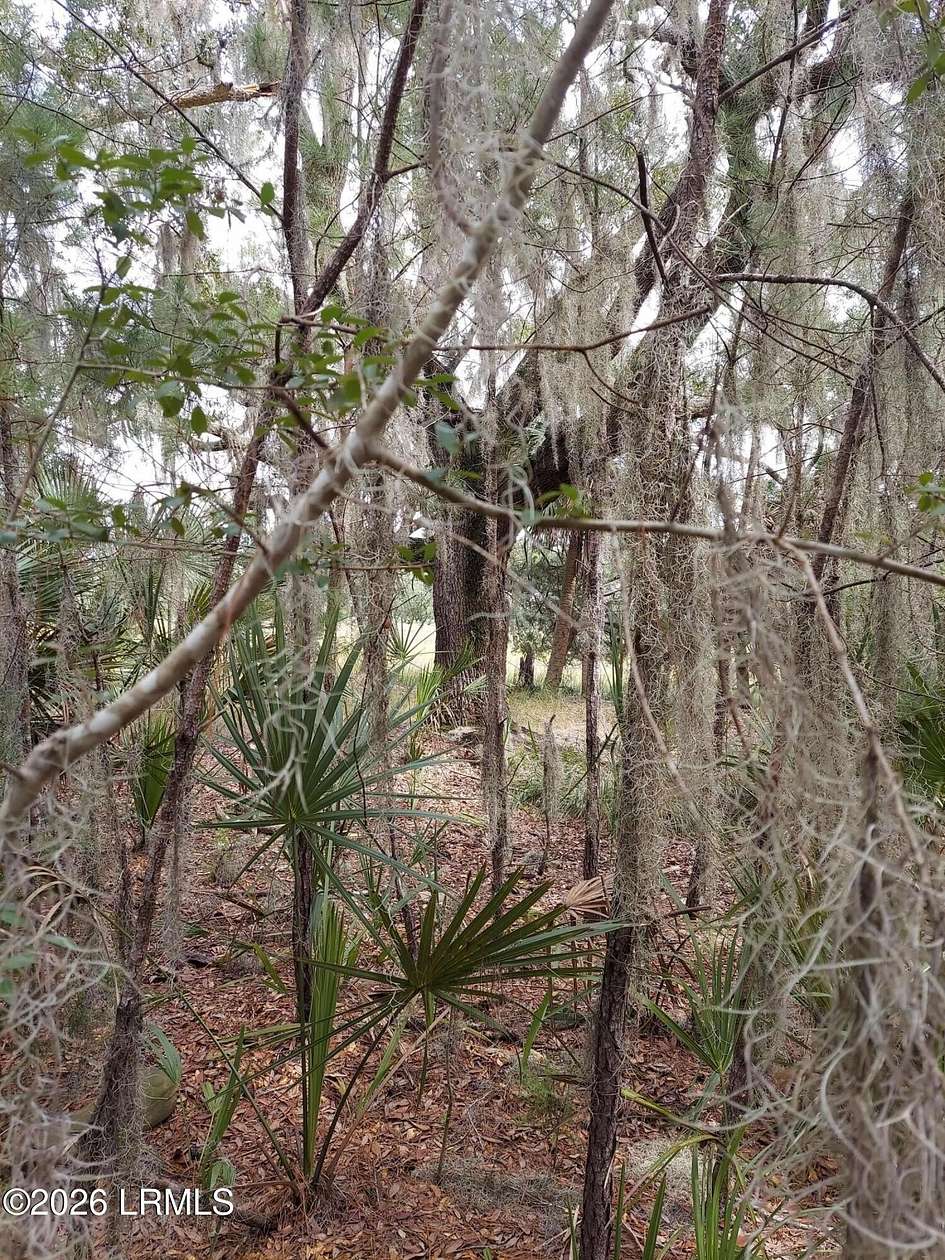 0.56 Acres of Residential Land for Sale in Beaufort, South Carolina