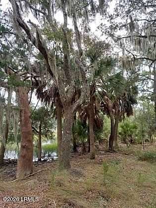 0.56 Acres of Residential Land for Sale in Beaufort, South Carolina