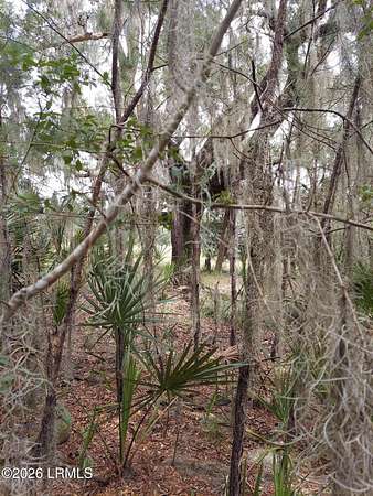 0.56 Acres of Residential Land for Sale in Beaufort, South Carolina
