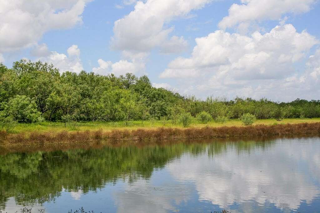 97.2 Acres of Improved Land for Sale in Floresville, Texas
