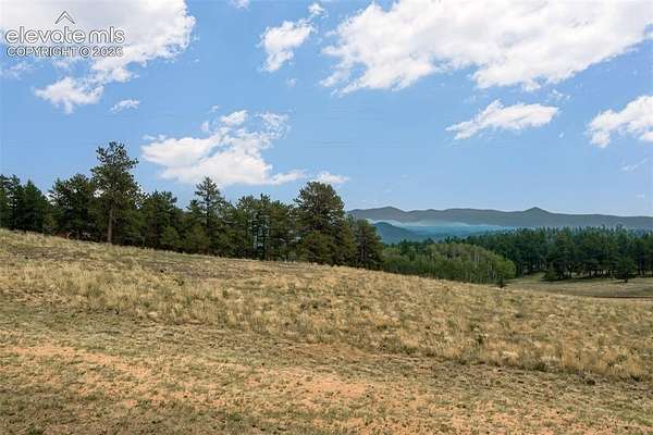 1 Acre of Residential Land for Sale in Guffey, Colorado