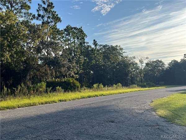 0.23 Acres of Land for Sale in Citrus Springs, Florida