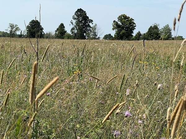 40 Acres of Land for Sale in Gibraltar Town, Wisconsin