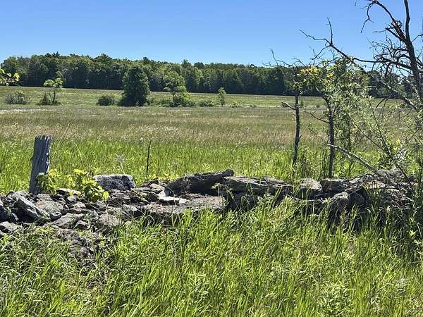 40 Acres of Land for Sale in Gibraltar Town, Wisconsin