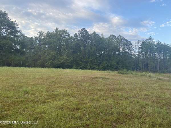 4.89 Acres of Land for Sale in Wiggins, Mississippi
