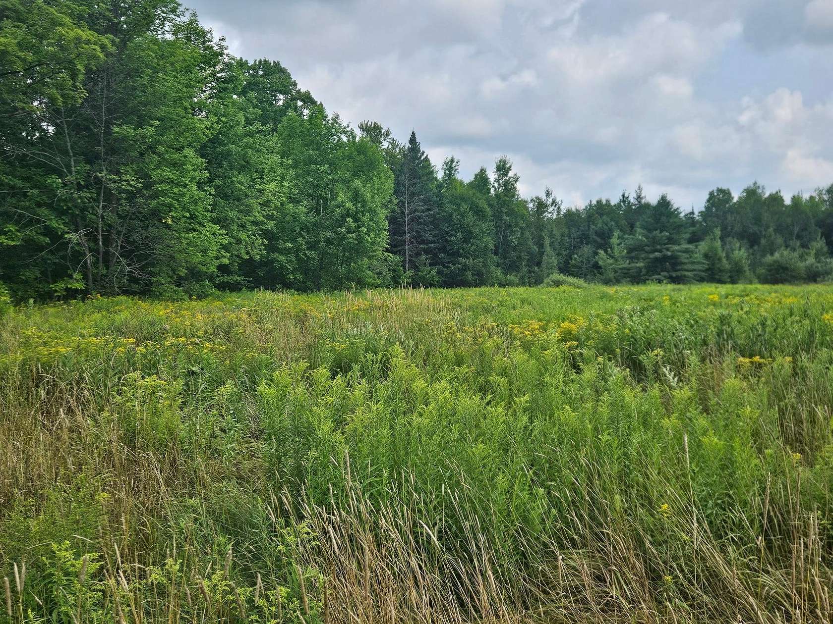 36 Acres of Land for Sale in Brantwood, Wisconsin