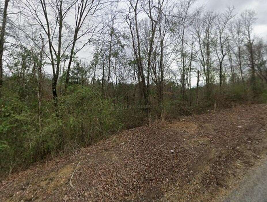 47.9 Acres of Land for Sale in Gattman, Mississippi