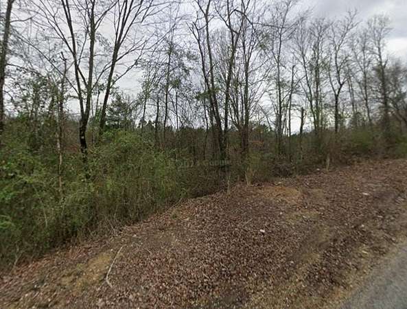 47.9 Acres of Land for Sale in Gattman, Mississippi