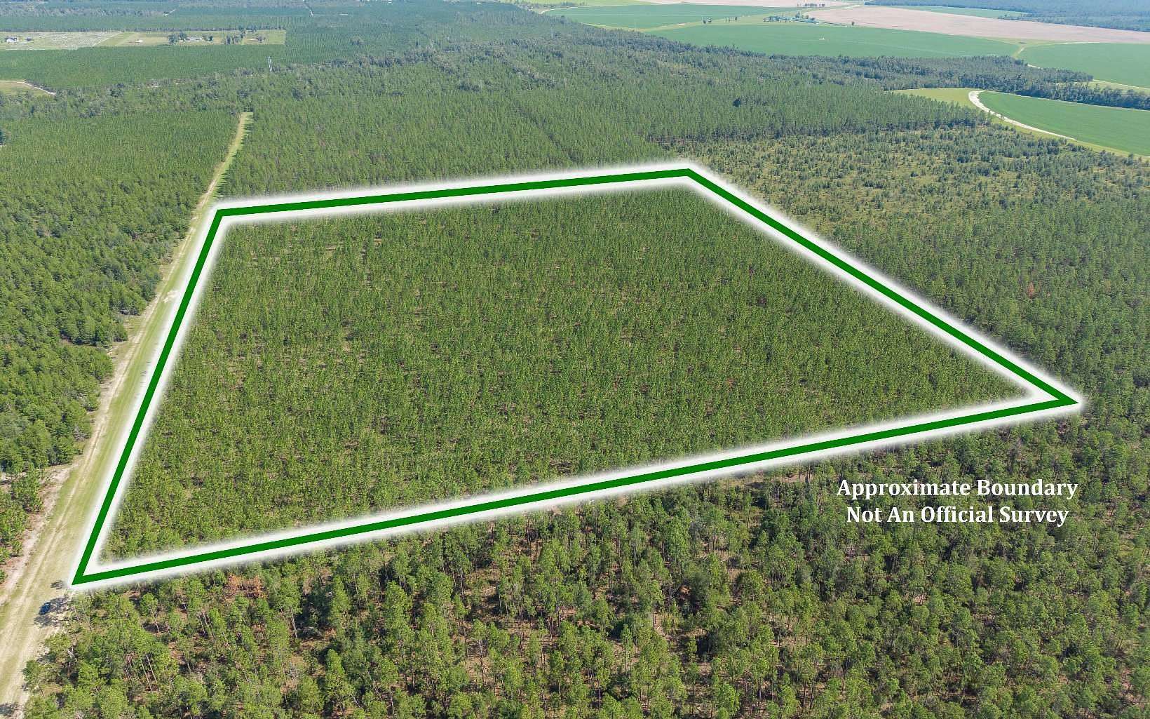 40 Acres of Land for Sale in Lee, Florida