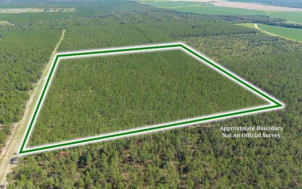 40 Acres of Land for Sale in Lee, Florida