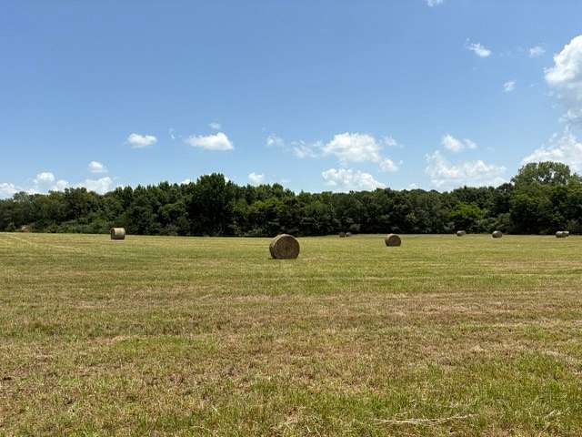 4 Acres of Residential Land for Sale in Leighton, Alabama