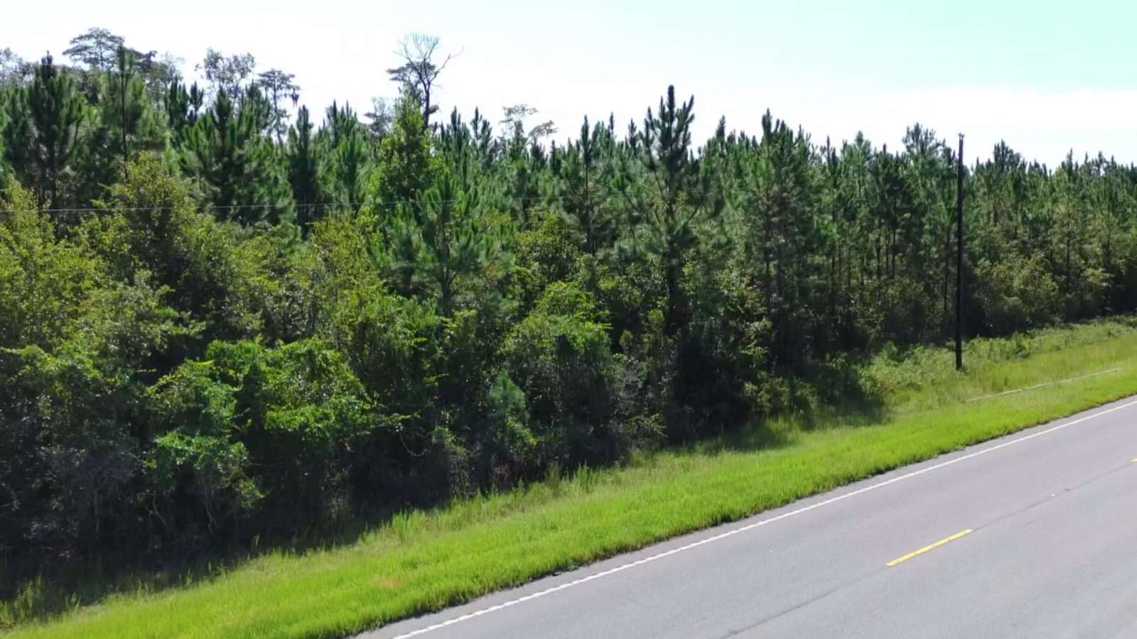 95.5 Acres of Recreational Land for Auction in Homerville, Georgia