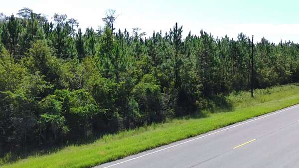 95.5 Acres of Recreational Land for Auction in Homerville, Georgia