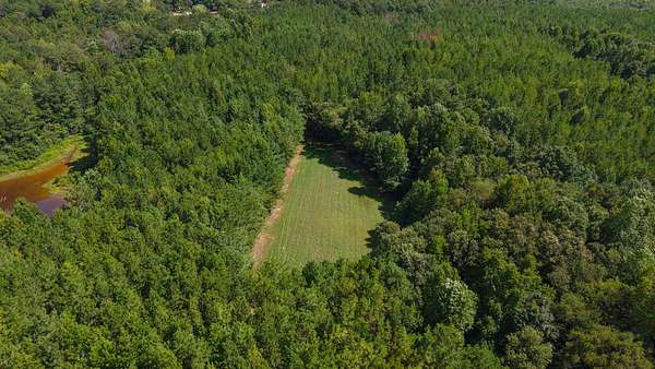 91.2 Acres of Recreational Land for Sale in Grady, Alabama