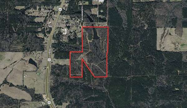 94 Acres of Recreational & Residential Land for Sale in Bernice, Louisiana