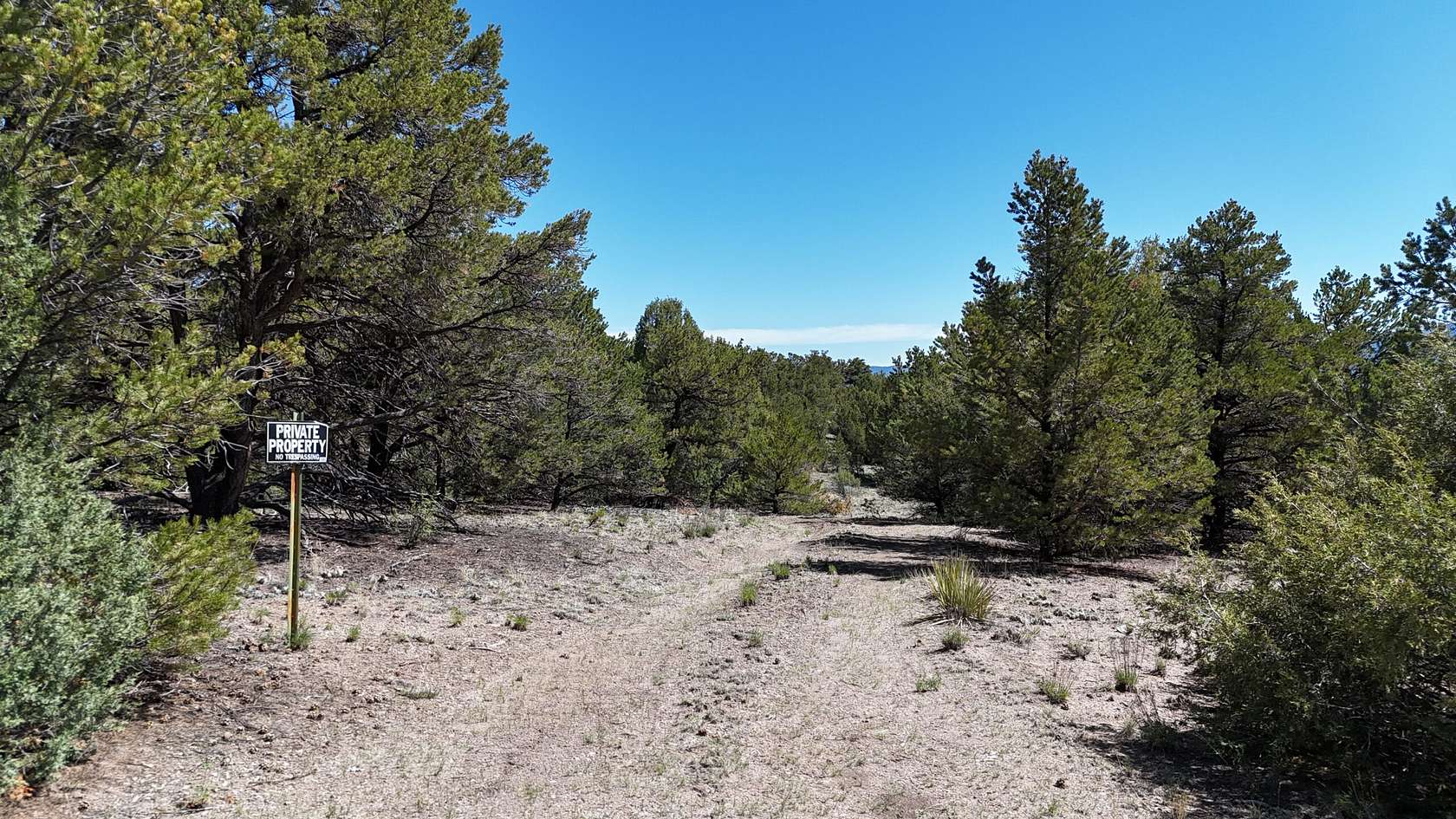 36.9 Acres of Recreational & Residential Land for Sale in Salida, Colorado