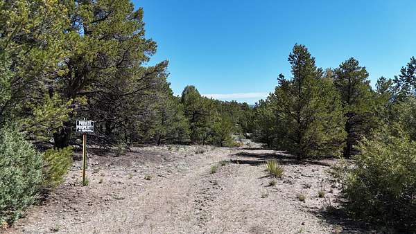36.9 Acres of Recreational & Residential Land for Sale in Salida, Colorado