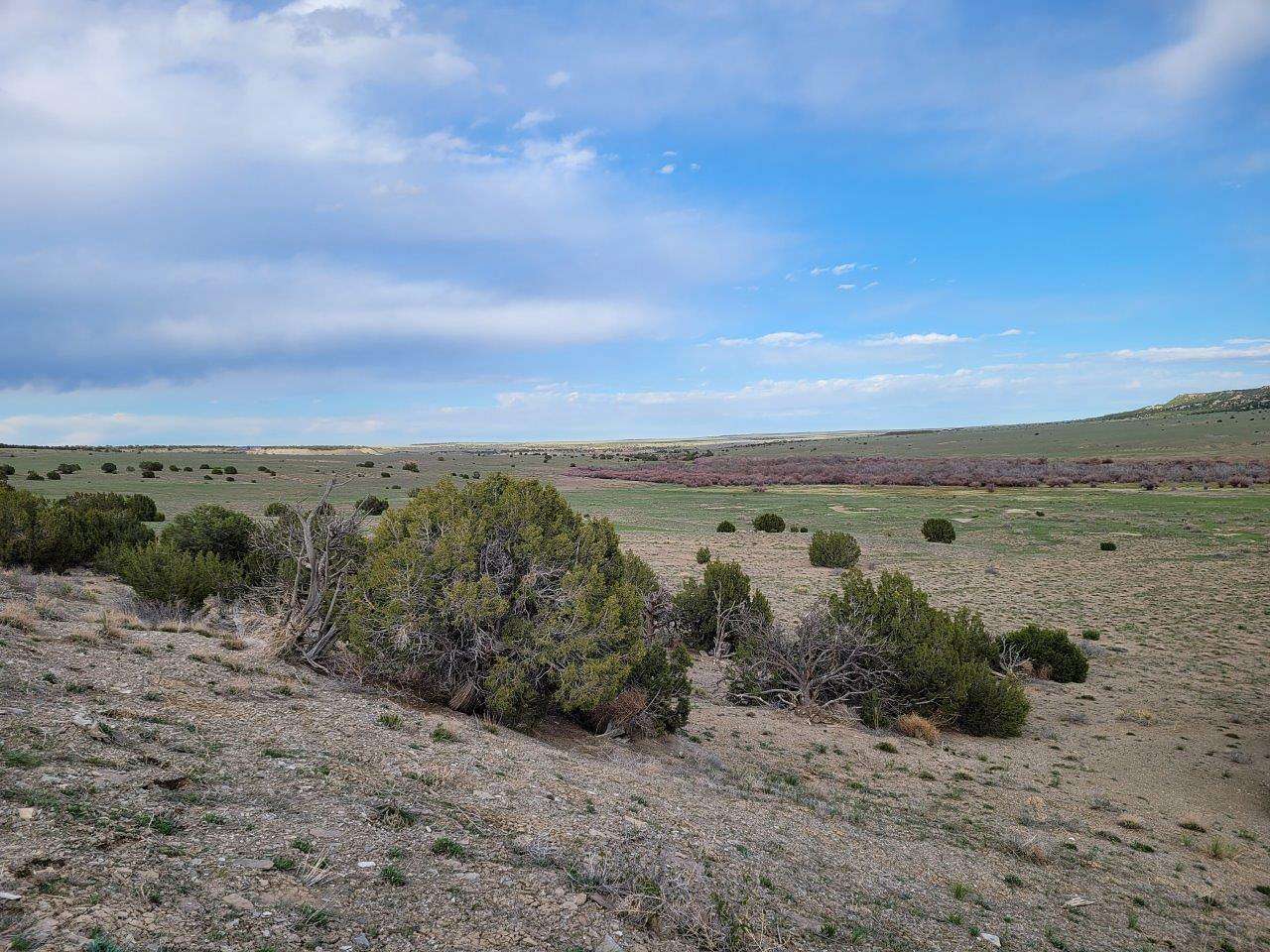 35 Acres of Land for Sale in Walsenburg, Colorado