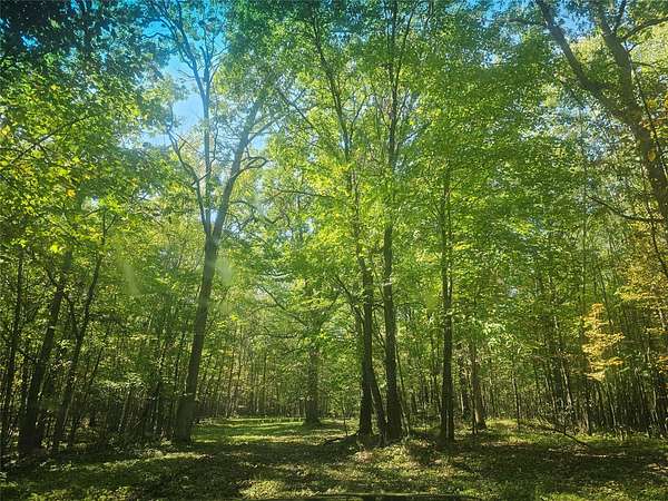 50 Acres of Recreational Land for Sale in Danbury, Wisconsin