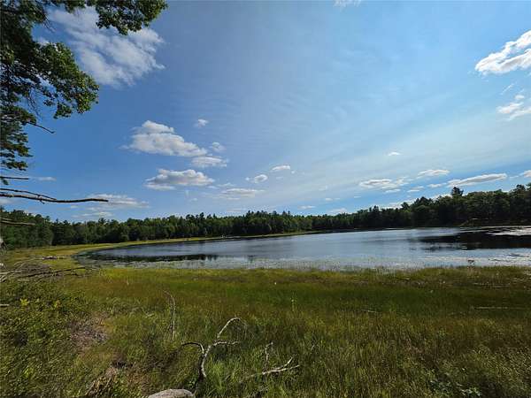 50 Acres of Recreational Land for Sale in Danbury, Wisconsin