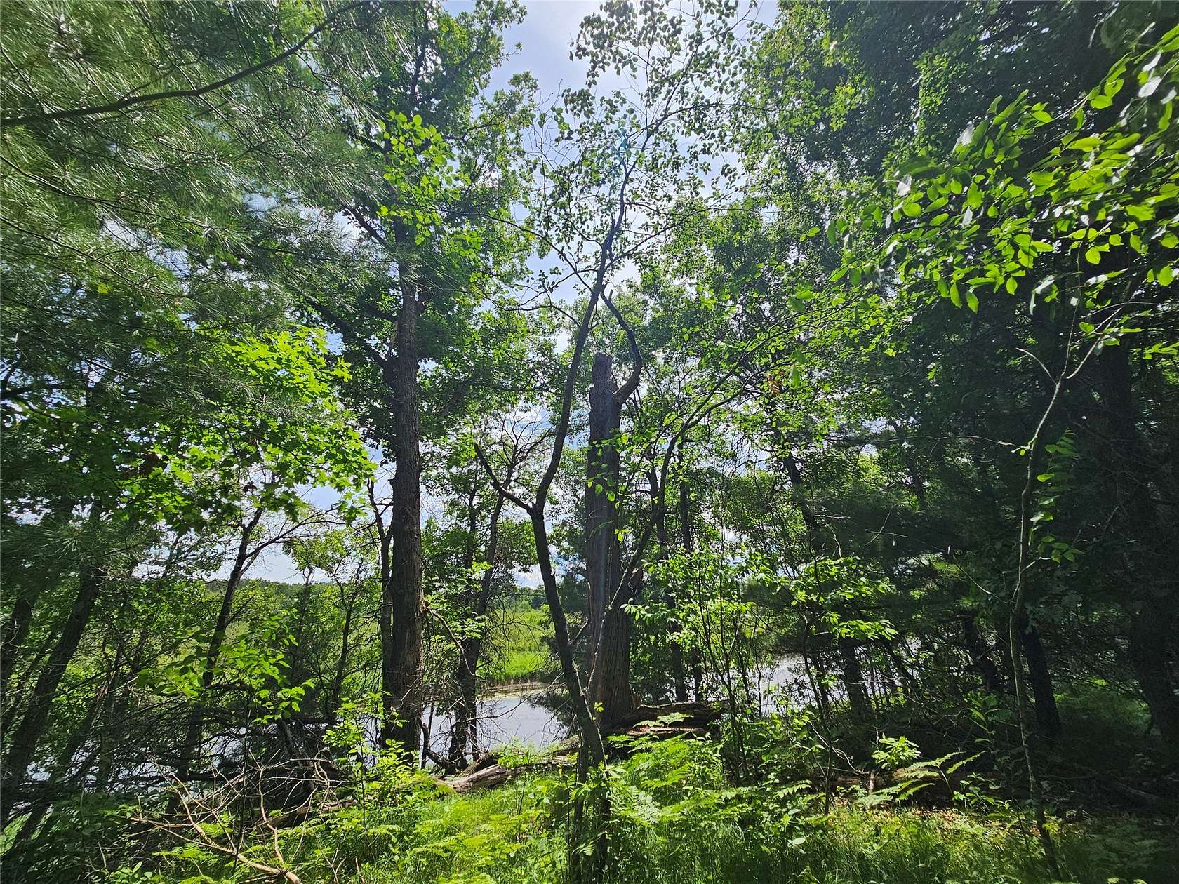 0.94 Acres of Land for Sale in Webster, Wisconsin