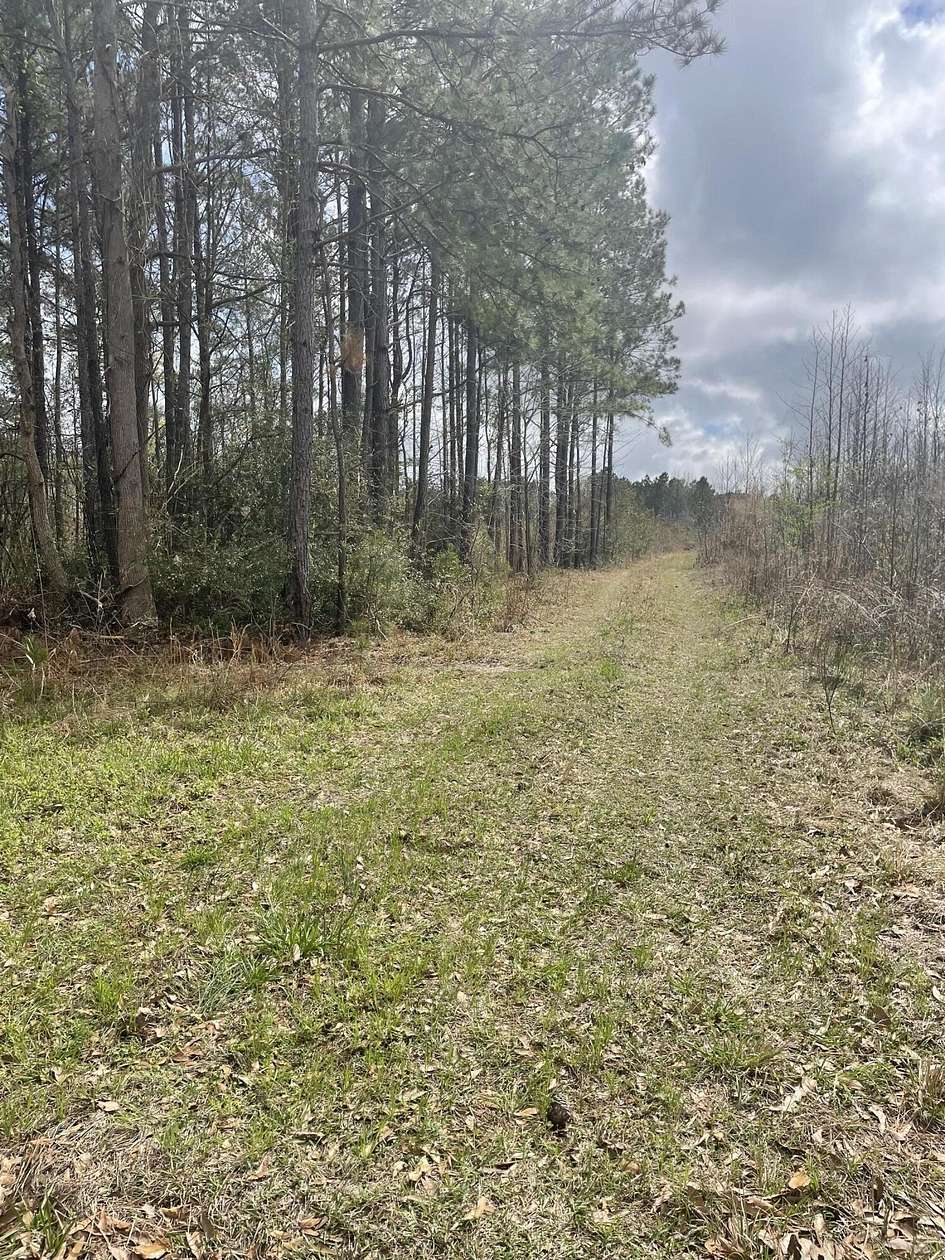0.8 Acres of Mixed-Use Land for Sale in Hemingway, South Carolina