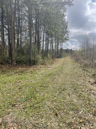 0.8 Acres of Mixed-Use Land for Sale in Hemingway, South Carolina