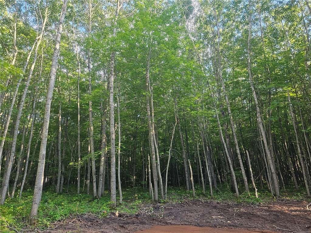 1.56 Acres of Residential Land for Sale in Webster, Wisconsin