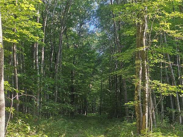1.56 Acres of Residential Land for Sale in Webster, Wisconsin