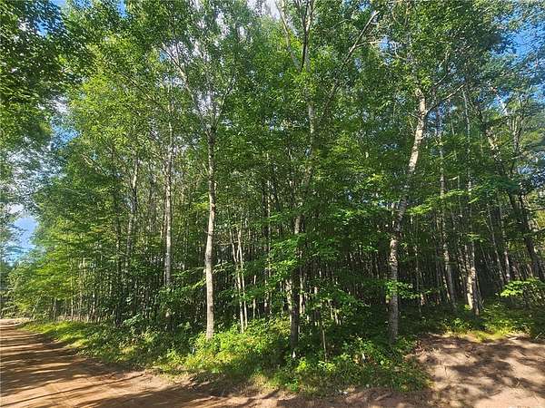 1.56 Acres of Residential Land for Sale in Webster, Wisconsin