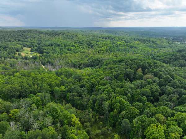 20 Acres of Recreational Land for Sale in East Jordan, Michigan